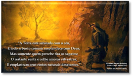 A person kneeling in front of a tree

AI-generated content may be incorrect.